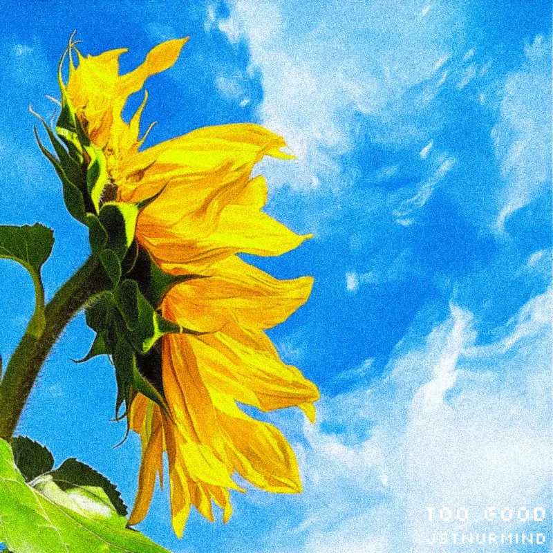 Too Good (Like Way) - Album Artwork by JSTNURMIND